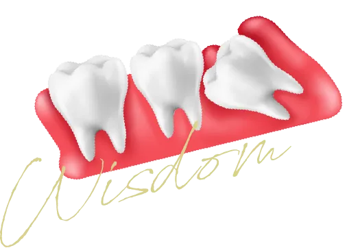 Wisdom