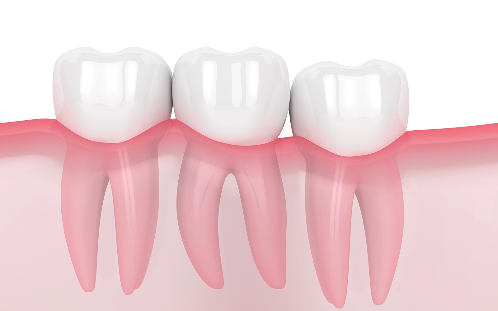 まっすぐ生えている